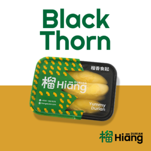 Black Thorn (Approx. 650gram)