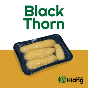 Black Thorn (Frozen) (Approx. 400gram)