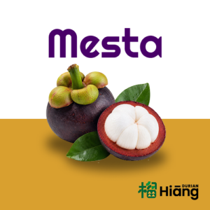 Mesta